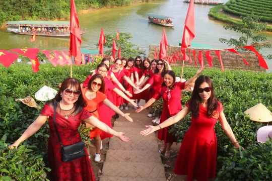 Đảo chè Thanh Chương hút khách dịp nghỉ lễ 30/4 - 1/5