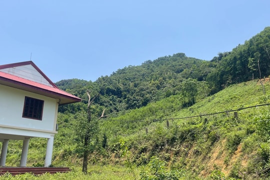 Núi Giăng Màn, địa điểm nhức nhối thường xuyên xảy ra các vụ phá rừng