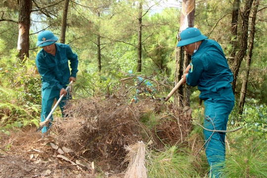 Nghệ An tập trung thu dọn thực bì giảm thiểu nguy cơ cháy rừng