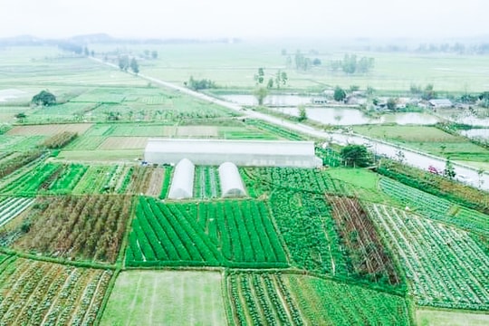 Thêm 4 xã của huyện Nam Đàn được công nhận đạt chuẩn 'Nông thôn mới kiểu mẫu'