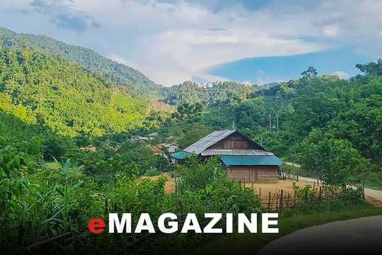 Khởi sắc vùng biên Tam Hợp