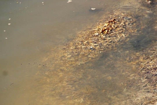 Khó khăn chống ô nhiễm nguồn nước ở Diễn Châu