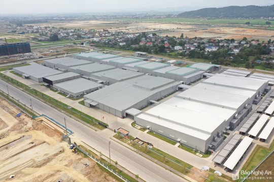 Nghệ An có 15 doanh nghiệp xuất hàng sang Nhật 