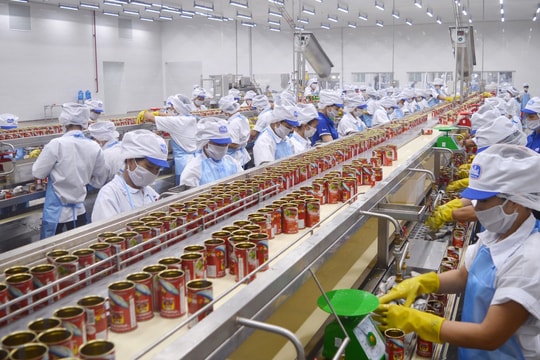 6 tháng đầu năm 2023, các doanh nghiệp FDI Nghệ An cần tuyển 10.000 lao động 