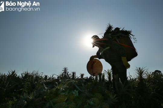 Chủ động phòng chống nắng nóng và hạn hán trong năm 2023 