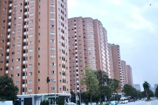 Giá chung cư tăng cao, nên thuê hay mua?