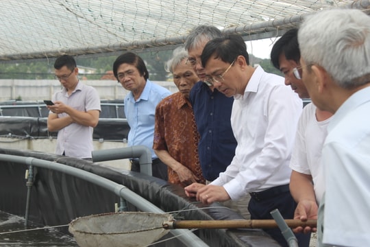 Tổ tư vấn kinh tế - xã hội tỉnh Nghệ An làm việc với huyện Quỳnh Lưu