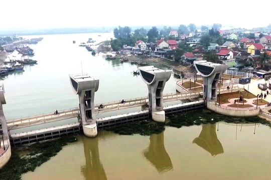 Hiệu quả các dự án hợp tác Nghệ An - Nhật Bản trên lĩnh vực nông nghiệp 