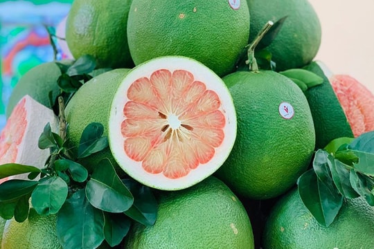 Bưởi vào mùa khan hiếm nhất, có loại đắt gấp đôi