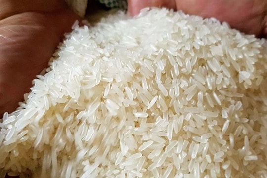 Indonesia tăng mua đột biến hơn 2.500%, thành khách hàng lớn của gạo Việt