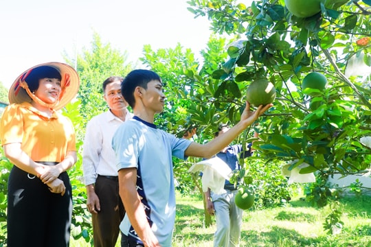 Uỷ ban nhân dân tỉnh Nghệ An ban hành kế hoạch giảm nghèo bền vững