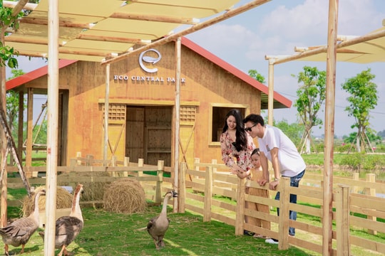 Công viên hot nhất ở TP. Vinh thu hút nhiều gia đình nổi tiếng tới chơi