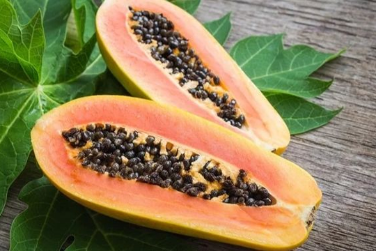 Cây đu đủ nhiều công dụng, nhưng có thể trị ung thư không?