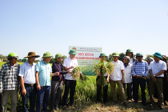  Nhân rộng 200 mô hình canh tác lúa thân thiện tại Hưng Nguyên
