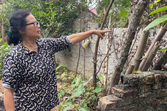 Vụ lấn chiếm đất ở Yên Thành: Chính quyền địa phương đã làm tròn trách nhiệm? 