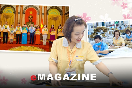 Hành trình vươn lên của nữ thợ may Nghệ An được Chủ tịch nước biểu dương điển hình học tập, làm theo Bác