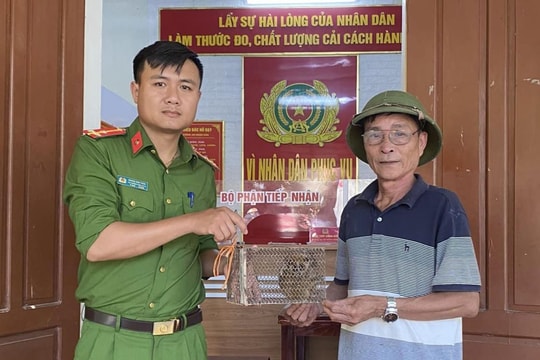 Tiếp nhận một cá thể cu li nguy cấp, quý hiếm