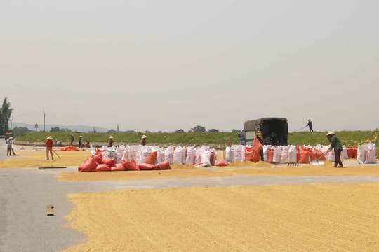 Người dân dựng vật cản trên đường để phơi nông sản, tiềm ẩn nguy cơ tai nạn giao thông