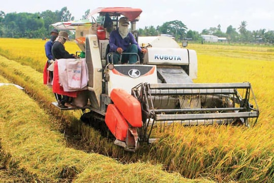 Nghệ An tăng cường quản lý, hạn chế nạn bảo kê máy gặt 