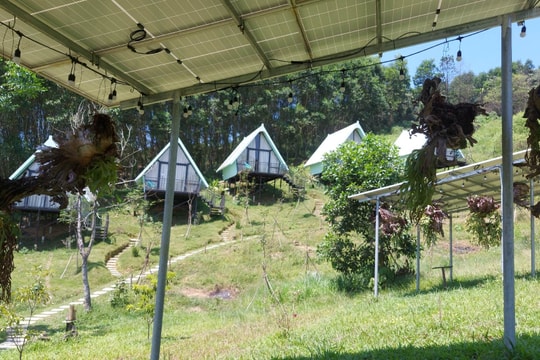 Xem xét trách nhiệm tập thể, cá nhân để xảy ra sai phạm lĩnh vực đất đai ở xã Thanh An (Thanh Chương)