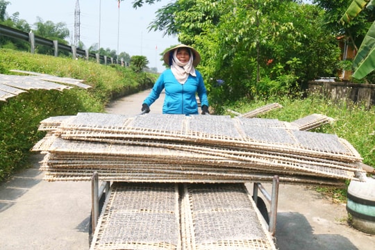 Nắng càng to, làng nghề bánh đa ở Nghệ An càng nhộn nhịp