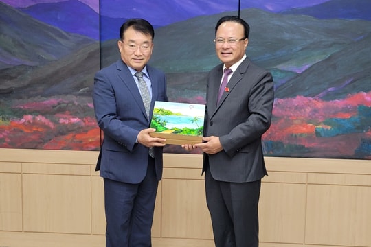 Hội đồng Nhân dân tỉnh Nghệ An làm việc với Hội đồng Thành phố Gwangju (Hàn Quốc)