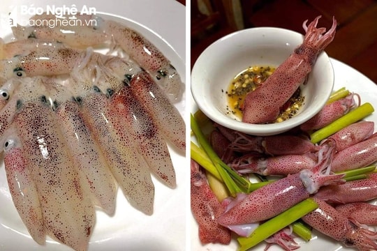 Phố biển Cửa Lò quy hoạch điểm bán mực nháy tập trung