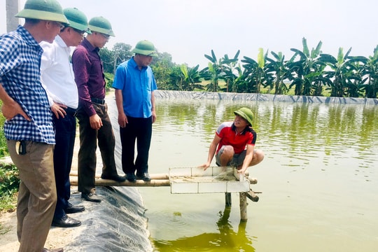 Phó Chủ tịch UBND tỉnh kiểm tra hệ thống thủy lợi và sản xuất nông nghiệp tại huyện Yên Thành