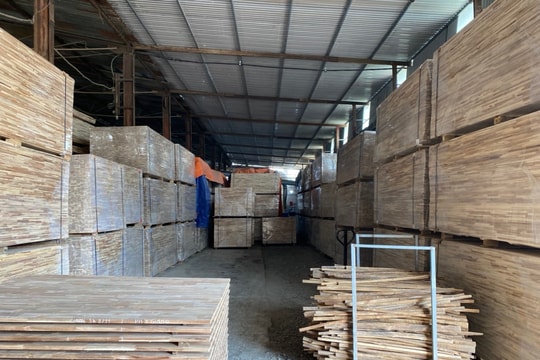 Keo lai rớt giá, nhiều dịch vụ 'ăn theo' ế ẩm, dừng hoạt động 