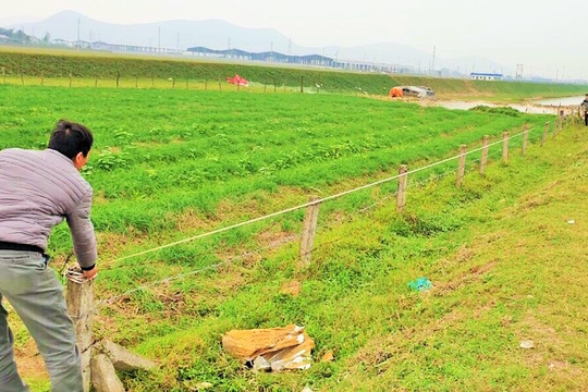 Nghi Lộc đẩy nhanh giải phóng mặt bằng giai đoạn 2 dự án WHA Industrial Zone