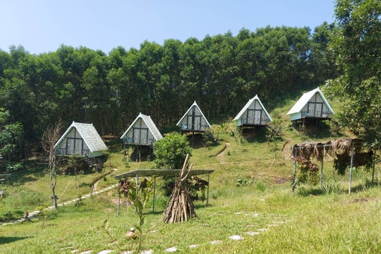 Có gì trong khu homestay bị 'tuýt còi' ở Đảo Chè Thanh An?