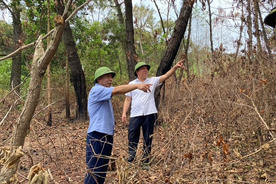 Phó Chủ tịch UBND tỉnh kiểm tra phòng chống cháy rừng ở Thanh Chương, Đô Lương 