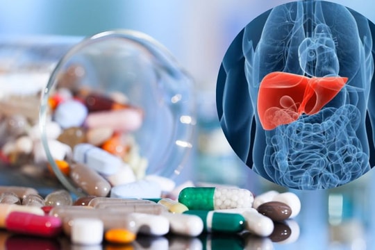 Giải pháp bảo vệ gan khi dùng thuốc Tây dài ngày