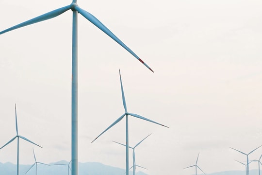 Thống nhất giá tạm tính cho 20 dự án điện gió chuyển tiếp