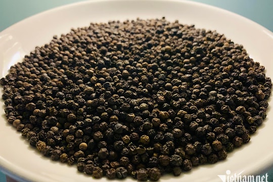 Ai Cập và Thổ Nhĩ Kỳ ồ ạt mua tiêu đen của Việt Nam