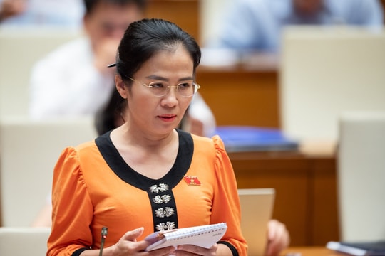 Đại biểu Võ Thị Minh Sinh thiết tha đề nghị Chính phủ giải quyết dứt điểm các tồn tại về bồi thường, hỗ trợ tái định cư Dự án Thủy điện Bản Vẽ