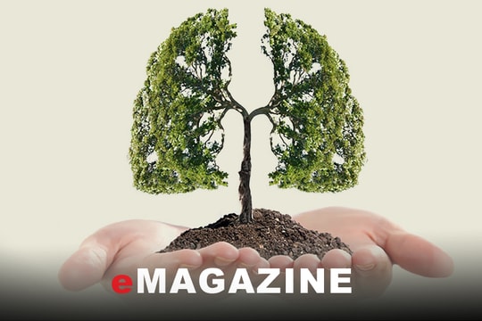 Chúng ta cần lương thực, không cần thuốc lá