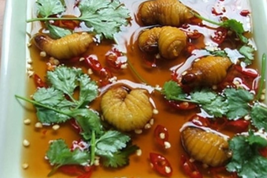 Những loại sâu bọ 'độc nhất vô nhị' đắt đỏ, thực khách săn lùng