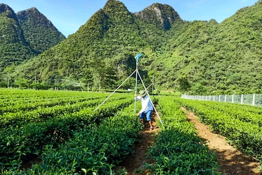 ‘Thay trời làm mưa’