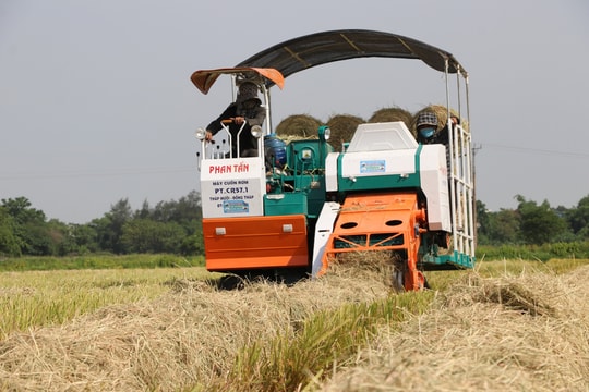 8X Nghệ An tiếc nuối từ chối đơn hàng xuất khẩu rơm tiền tỷ 