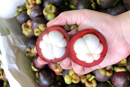 Măng cụt rớt giá hậu 'cơn sốt' gỏi gà măng cụt xanh; Giá cà phê chấm dứt đà tăng kỷ lục?