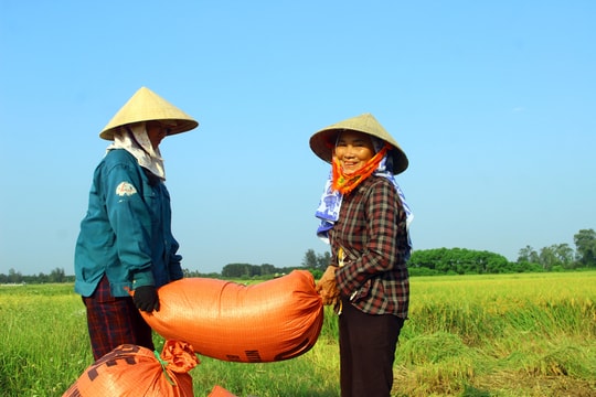 Vụ xuân 2023 Nghệ An thắng lợi toàn diện 