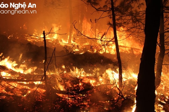 Nghệ An ban hành công điện tăng cường các biện pháp cấp bách phòng cháy, chữa cháy rừng
