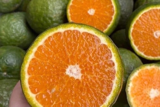 Nắng thiêu đốt, cam sành giải nhiệt giá rẻ bất ngờ