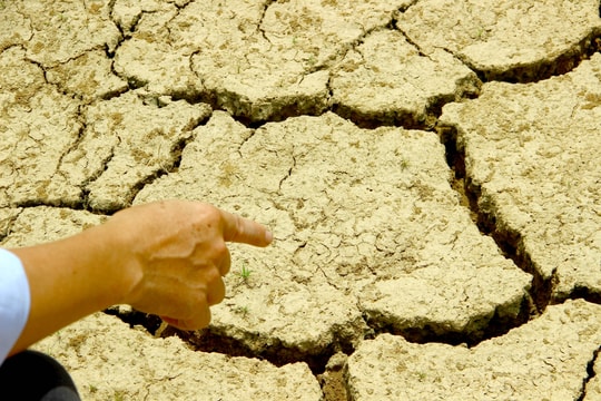 Nắng nóng kéo dài, Nghệ An sông khô, hồ cạn 