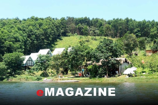 Khi nhà chòi ‘tự mọc’ trên Đảo Chè