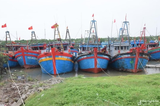 Dự báo có gió mạnh trên biển: Tỉnh Nghệ An yêu cầu các địa phương chủ động ứng phó