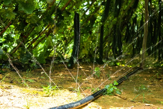 ‘Giải mã’ cách bơm nước tưới không cần điện của nông dân Thanh Chương