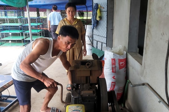 Lo gà chết do sốc nhiệt khi mất điện, chủ trại gà ở Nghệ An tìm phương án đối phó