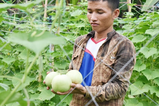 Anh nông dân ở xã biên giới với bí quyết chống hạn, trồng rau quả sạch